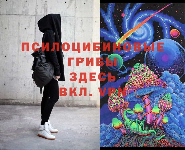 Псилоцибиновые грибы Magic Shrooms  купить наркоту  Лермонтов 